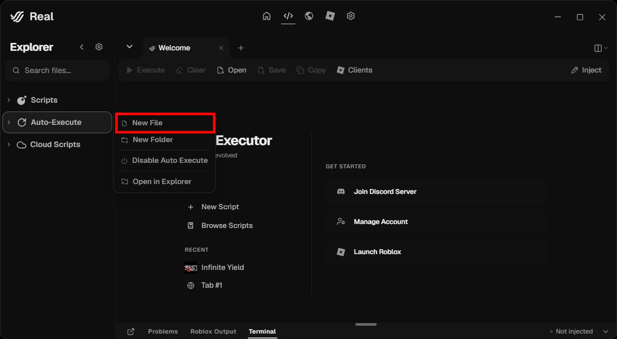 Real Explorer مع إبراز New File داخل Auto-Execute.