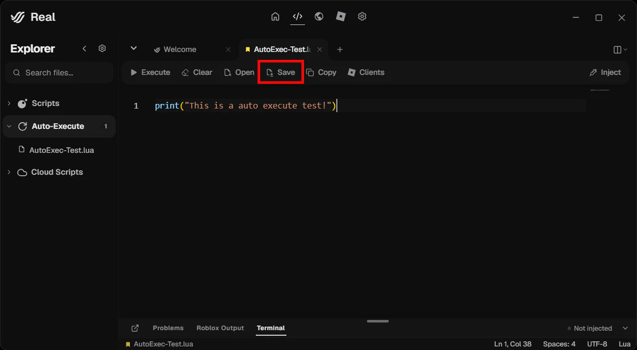 محرر Real مع سكربت Auto-Execute وزر Save مبرزين.
