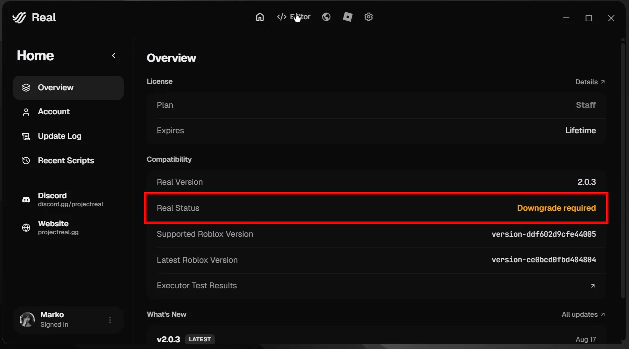 Real Overview mostrando Downgrade required na seção de compatibilidade.