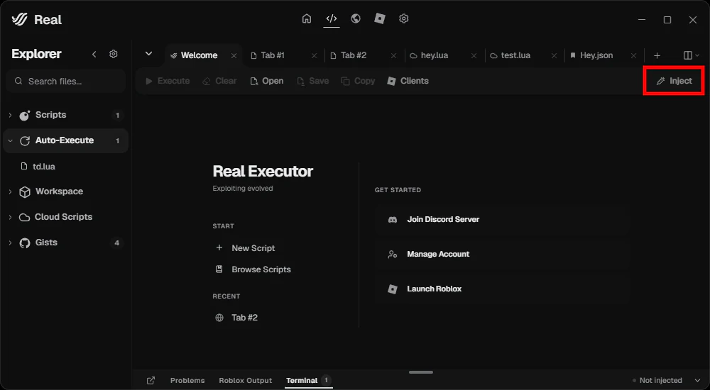 Real editor with the Inject button highlighted.