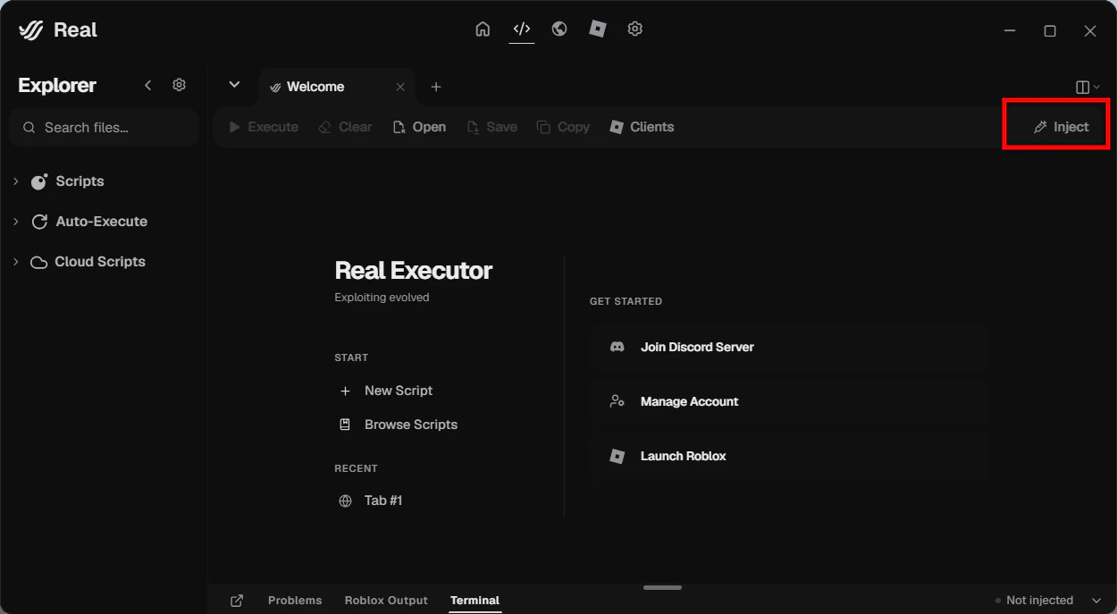 Bouton Inject dans l'Editor Tab.