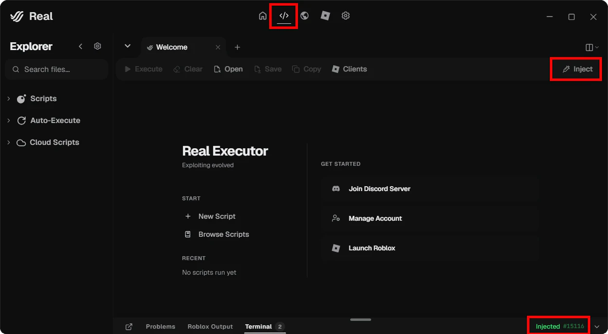 Editor Tab مع زر Inject وحالة injected مميزة.