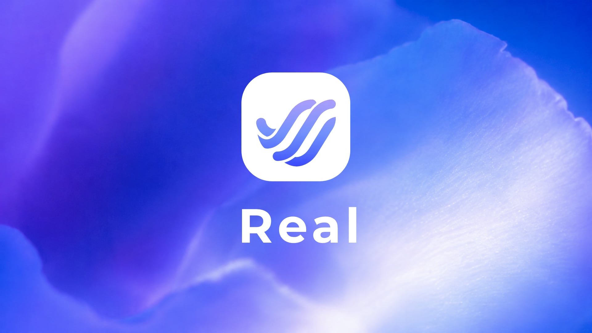 https://projectreal.gg/download